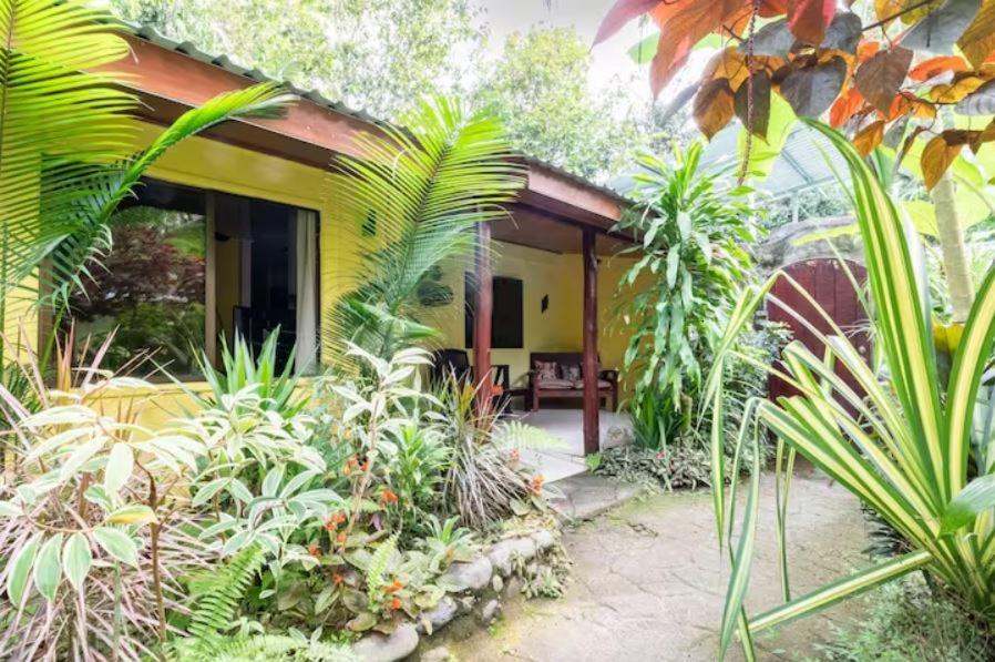 Casa Caribbean Coconut Hotell Cahuita Exteriör bild