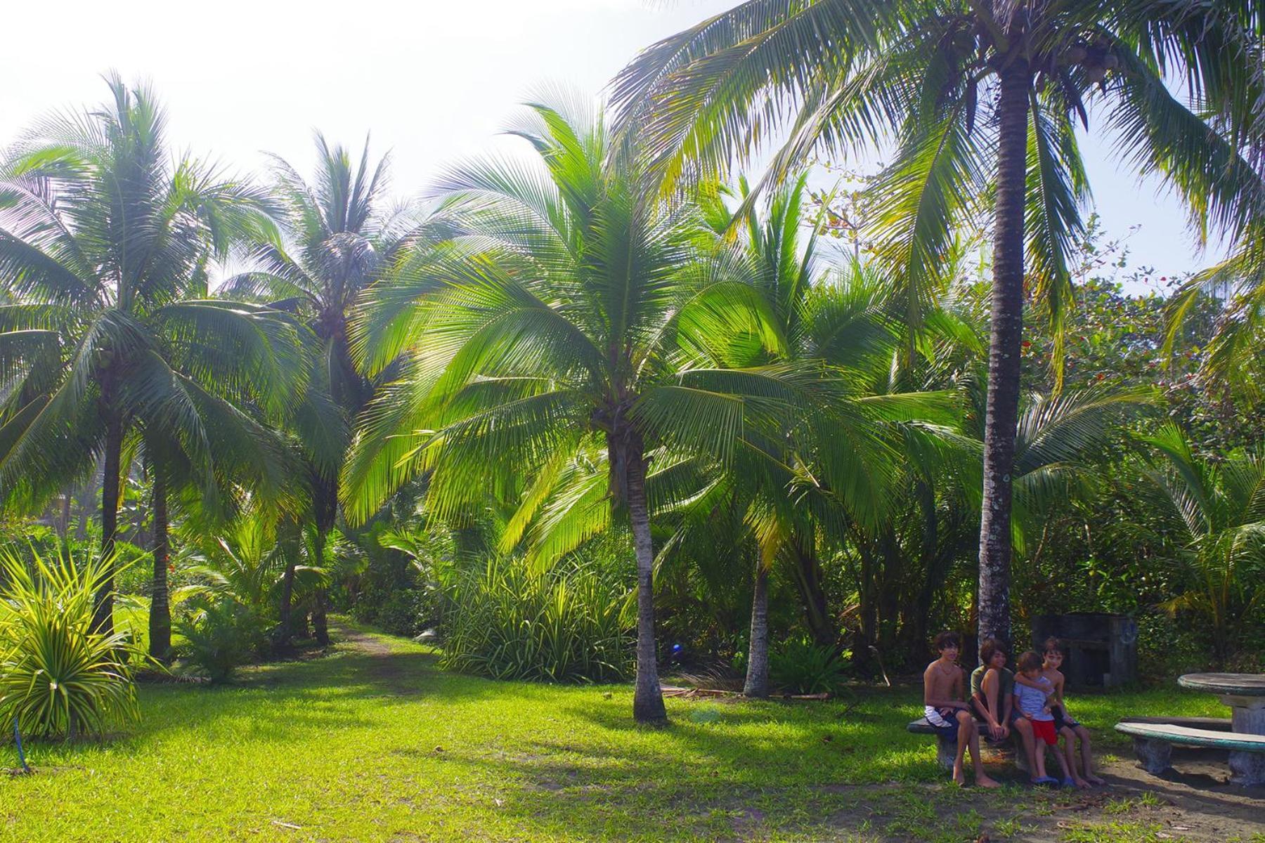 Casa Caribbean Coconut Hotell Cahuita Exteriör bild